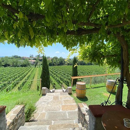 Villa Butussi - L'Ospitalita Del Vino Corno di Rosazzo Exteriér fotografie