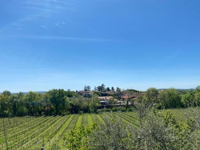 Villa Butussi - L'Ospitalita Del Vino Corno di Rosazzo Exteriér fotografie
