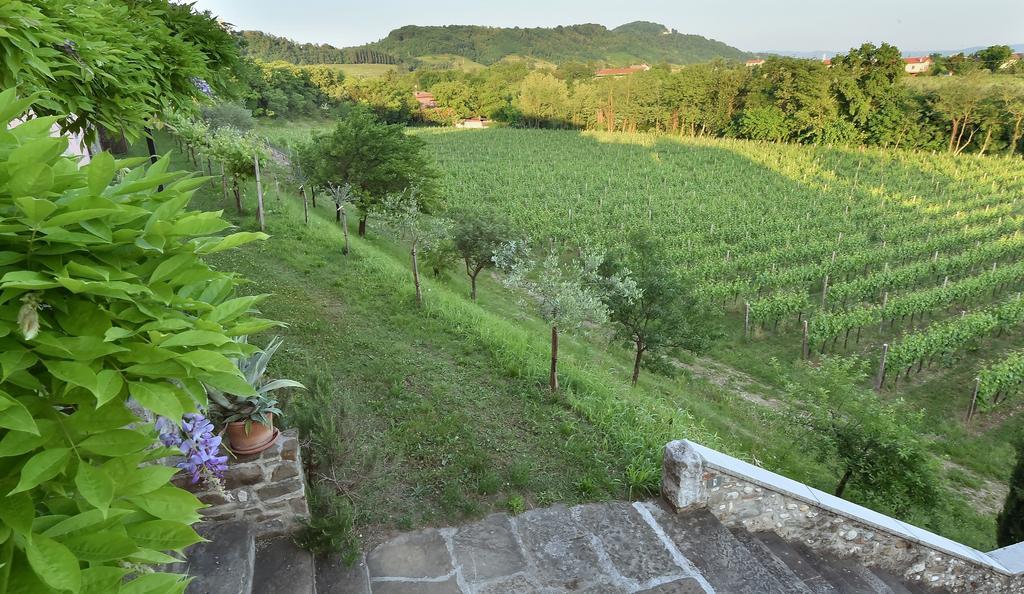 Villa Butussi - L'Ospitalita Del Vino Corno di Rosazzo Exteriér fotografie