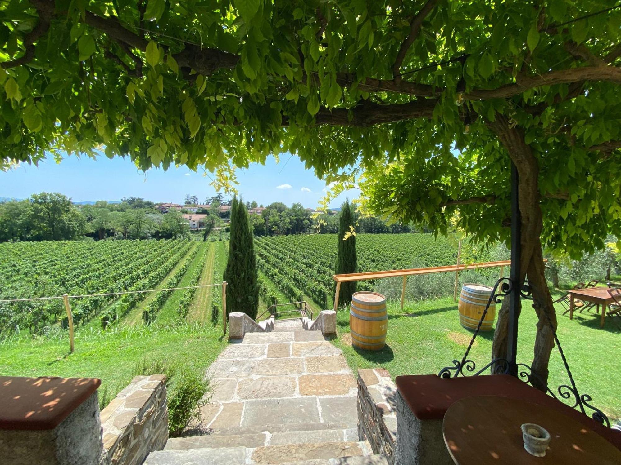 Villa Butussi - L'Ospitalita Del Vino Corno di Rosazzo Exteriér fotografie