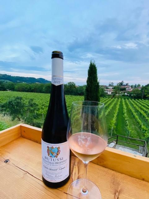 Villa Butussi - L'Ospitalita Del Vino Corno di Rosazzo Exteriér fotografie