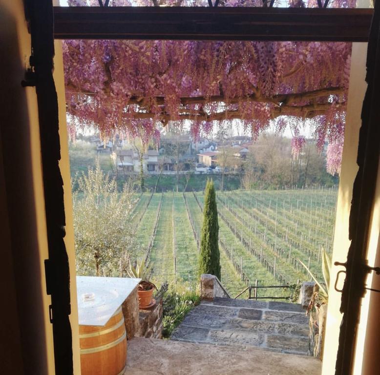 Villa Butussi - L'Ospitalita Del Vino Corno di Rosazzo Exteriér fotografie
