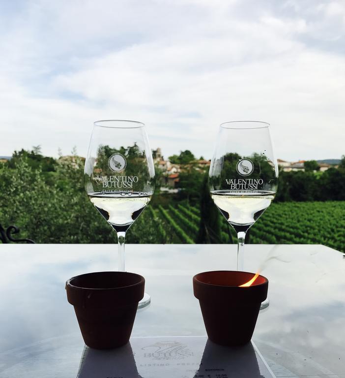 Villa Butussi - L'Ospitalita Del Vino Corno di Rosazzo Exteriér fotografie