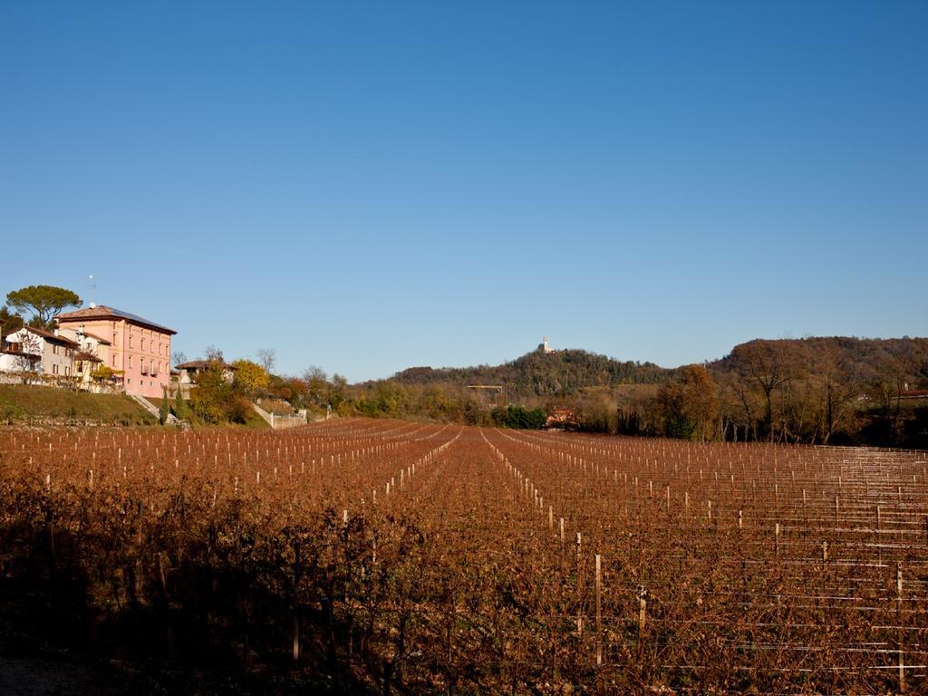 Villa Butussi - L'Ospitalita Del Vino Corno di Rosazzo Exteriér fotografie